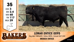 Lot #35 - *OUT* LEMAR ENTICE 0095 *OUT*