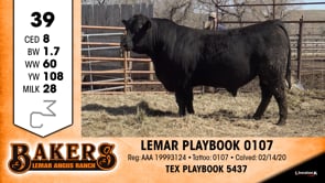 Lot #39 - LEMAR PLAYBOOK 0107