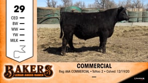 Lot #29 - COMMERCIAL