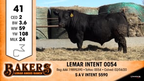 Lot #41 - LEMAR INTENT 0054