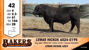 Lot #42 - LEMAR HICKOK 6024-0195