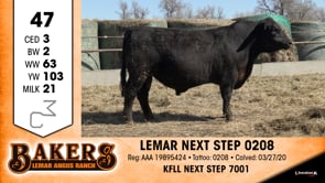 Lot #47 - *OUT* LEMAR NEXT STEP 0208 *OUT*