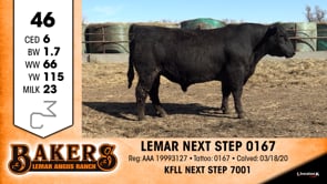 Lot #46 - LEMAR NEXT STEP 0167