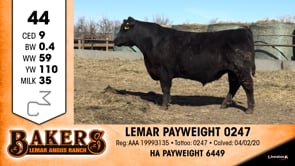 Lot #44 - LEMAR PAYWEIGHT 0247
