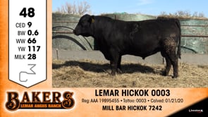 Lot #48 - LEMAR HICKOK 0003