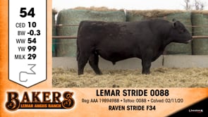 Lot #54 - LEMAR STRIDE 0088