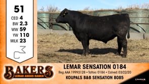 Lot #51 - LEMAR SENSATION 0184