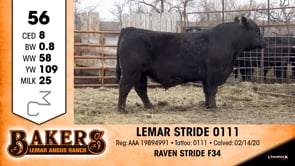 Lot #56 - LEMAR STRIDE 0111