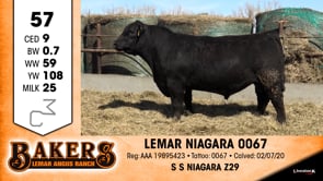 Lot #57 - LEMAR NIAGARA 0067