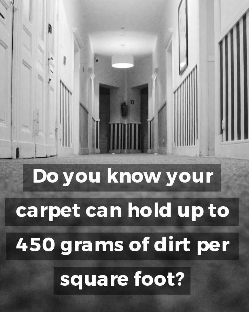 Find The Best Area Rug Cleaning Service In Portage, IN At This