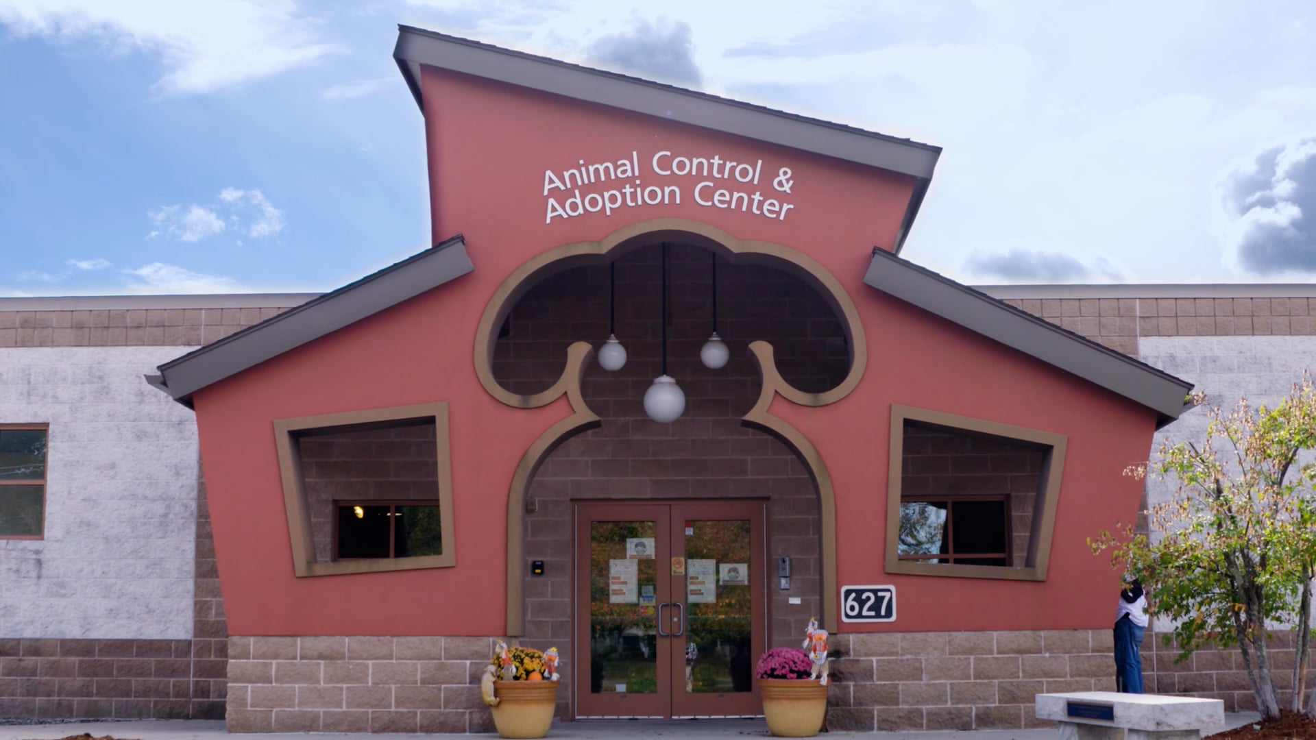 TJO Animal Foundation