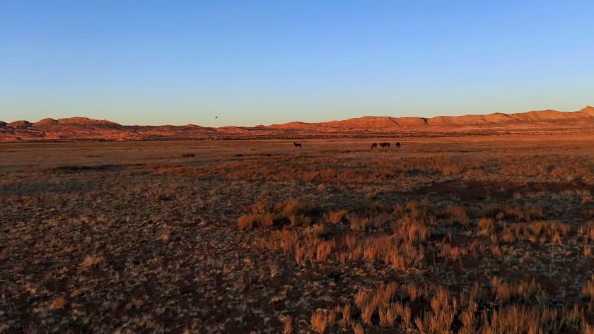 vimeo-video-thumbnail