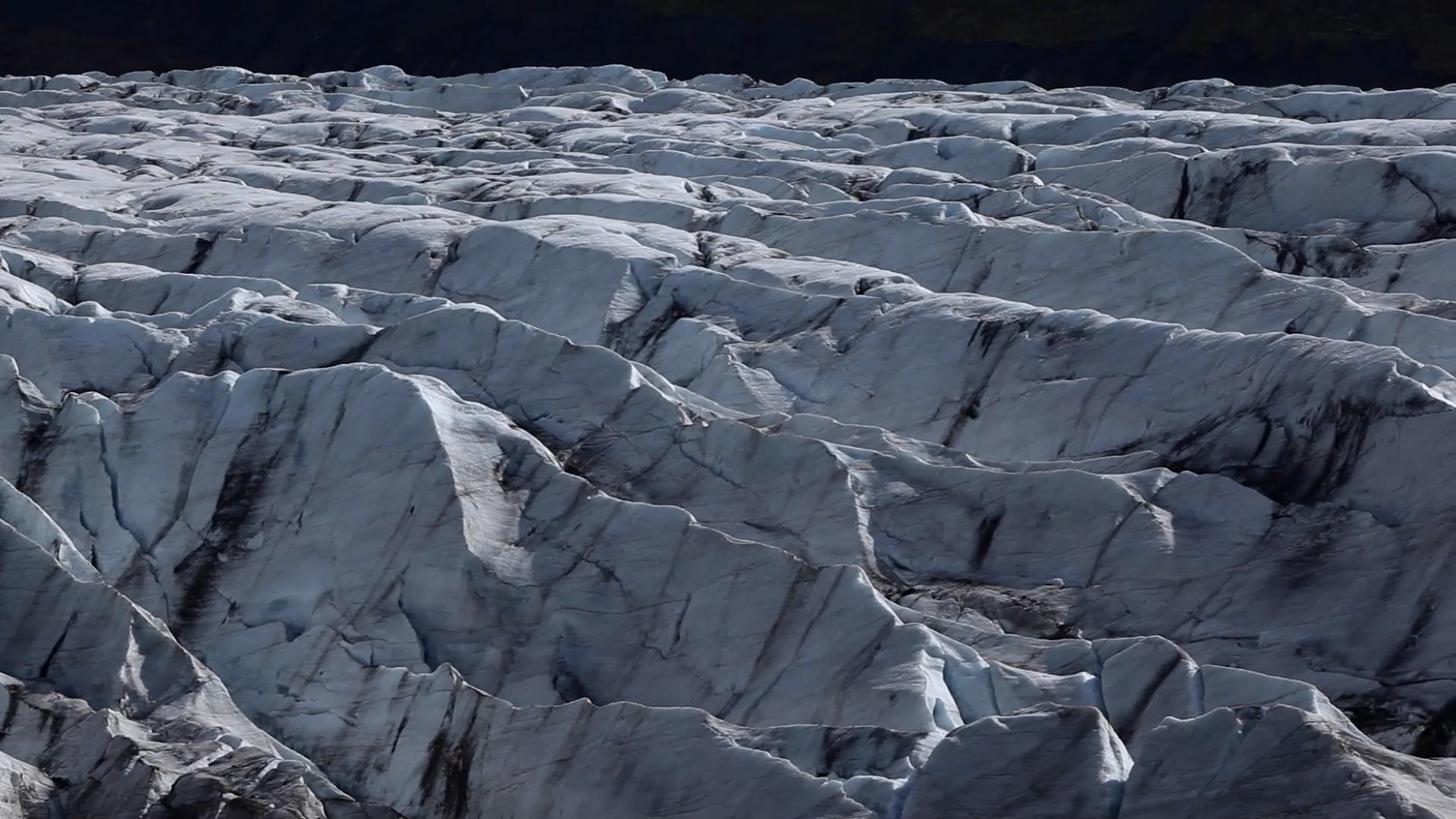 Intro - Islande le sanctuaire des Macareux