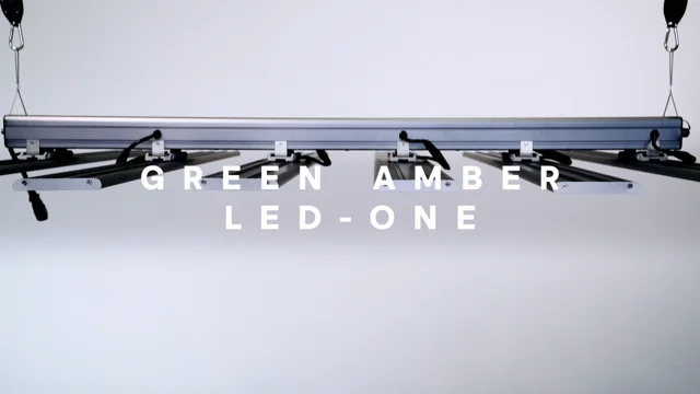 Green Amber LED ONE