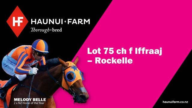 Lot 75