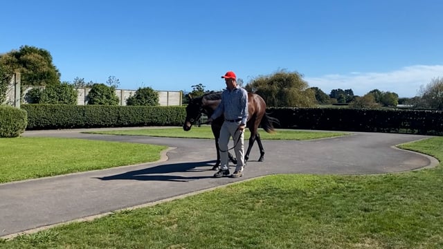 Lot 26