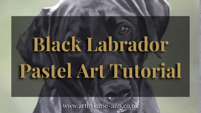 Black Lab Pet Portrait PanPastel, Pastel Pencil, and Soft Pastel