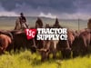 Tractor Supply Co VO