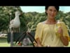 Lipton VO (Seagull)