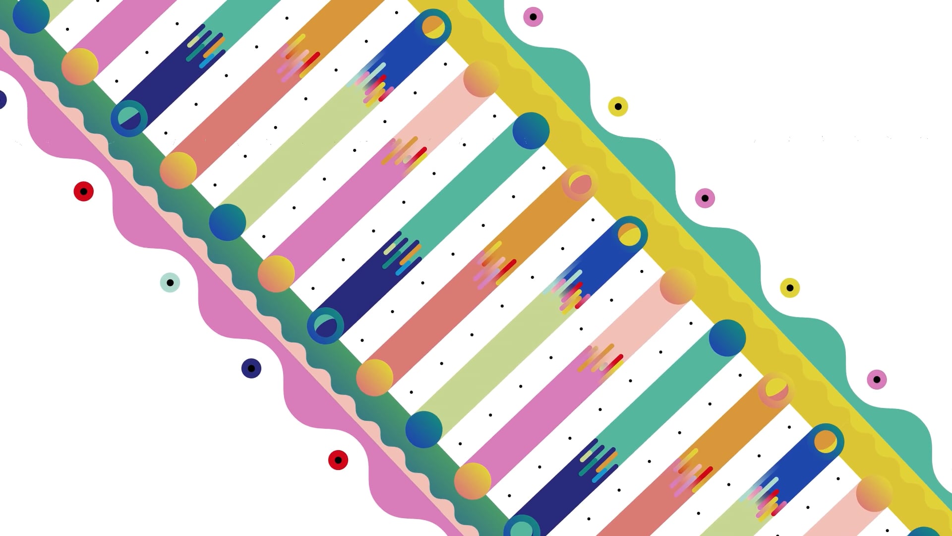 Motion Design | DNA