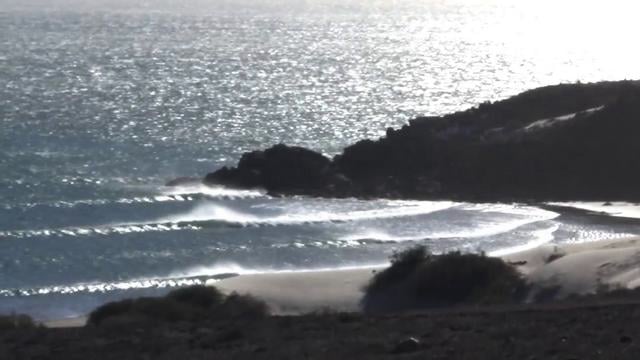 Chippasodes – South from Analog Clothing