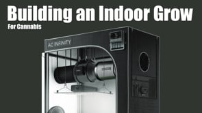 How to Put Together an Indoor Grow Space for Cannabis