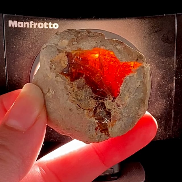 Fire Opal Nodule (rare locality specimen) (ex Bill and Anne Cook Collection)