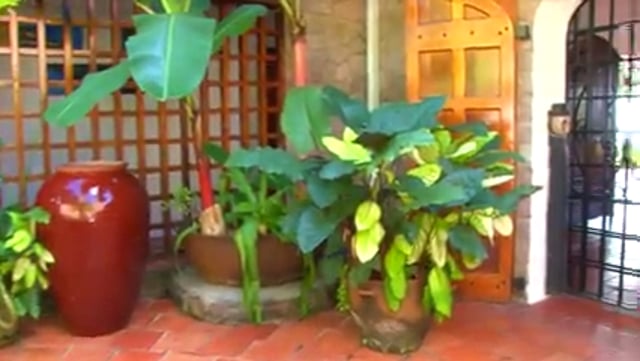 18-Tamarind House, Sourfriere, St Lucia