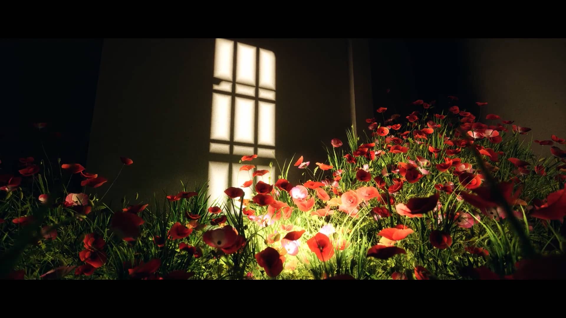 Flowers are better than bullets on Vimeo