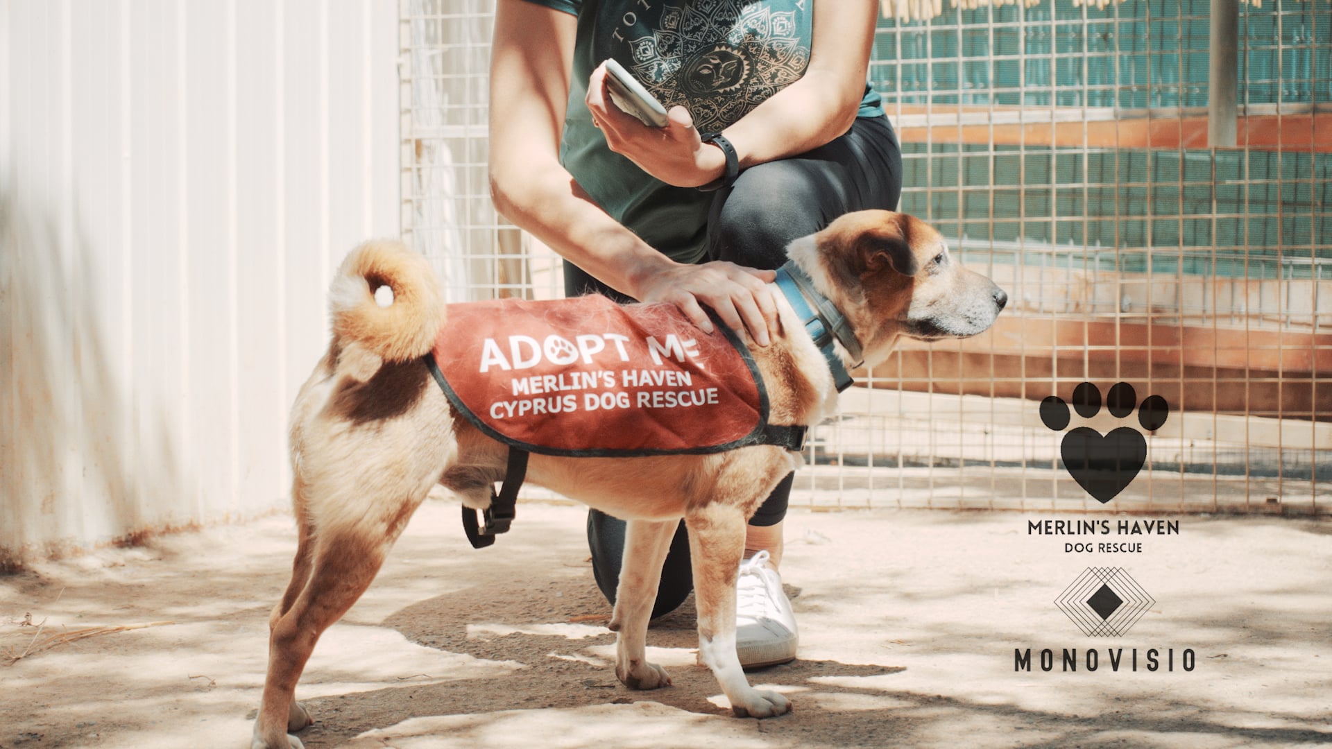 Merlin's Haven Cyprus Dog Rescue - Open Day 16/04/2022