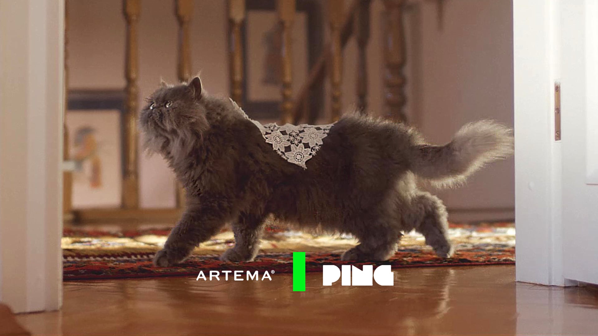 Artema | Standartları Zorlayanlar