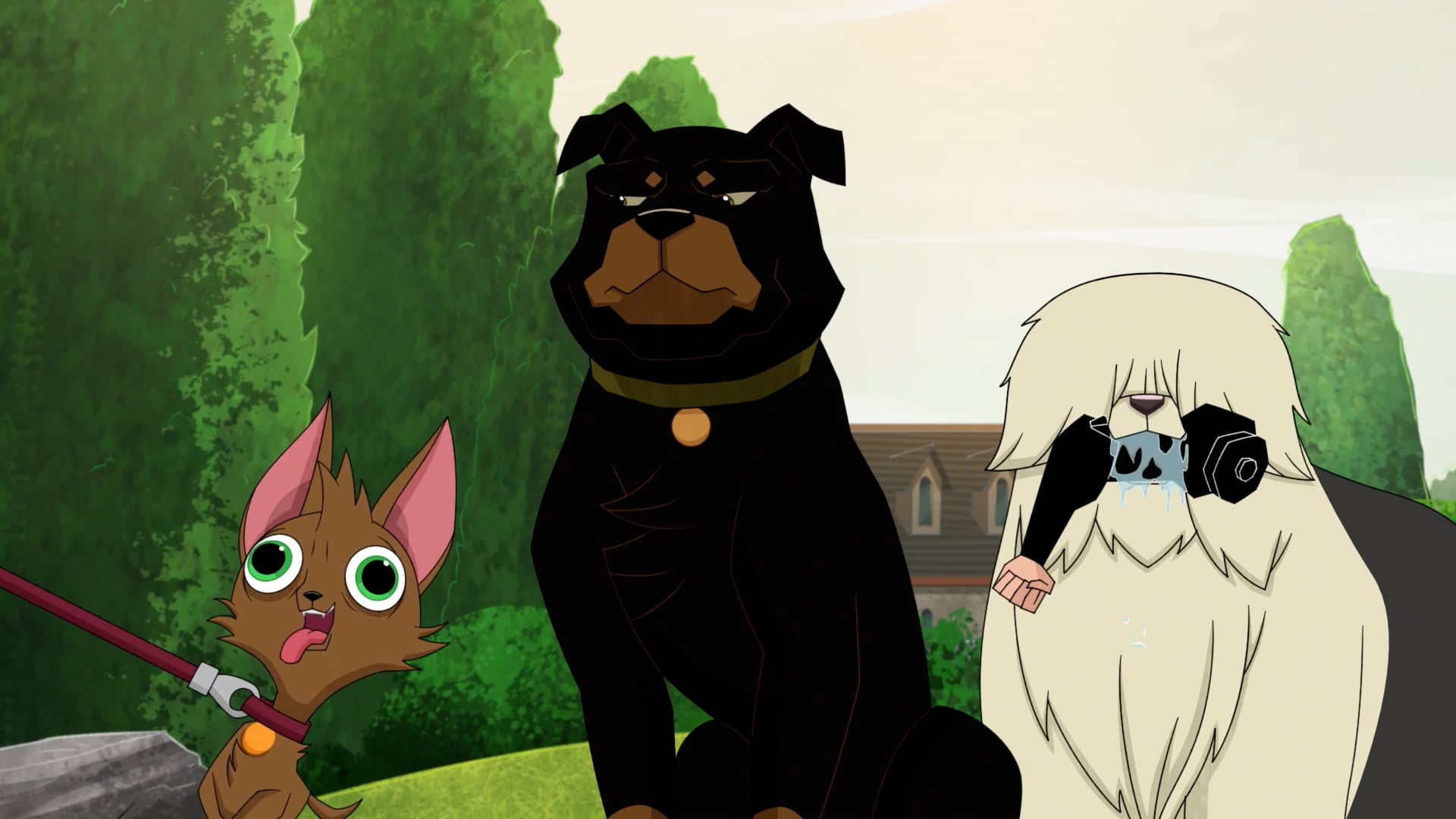 Disney XD Mutt Madness