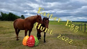 2022 Easter Draw.mp4