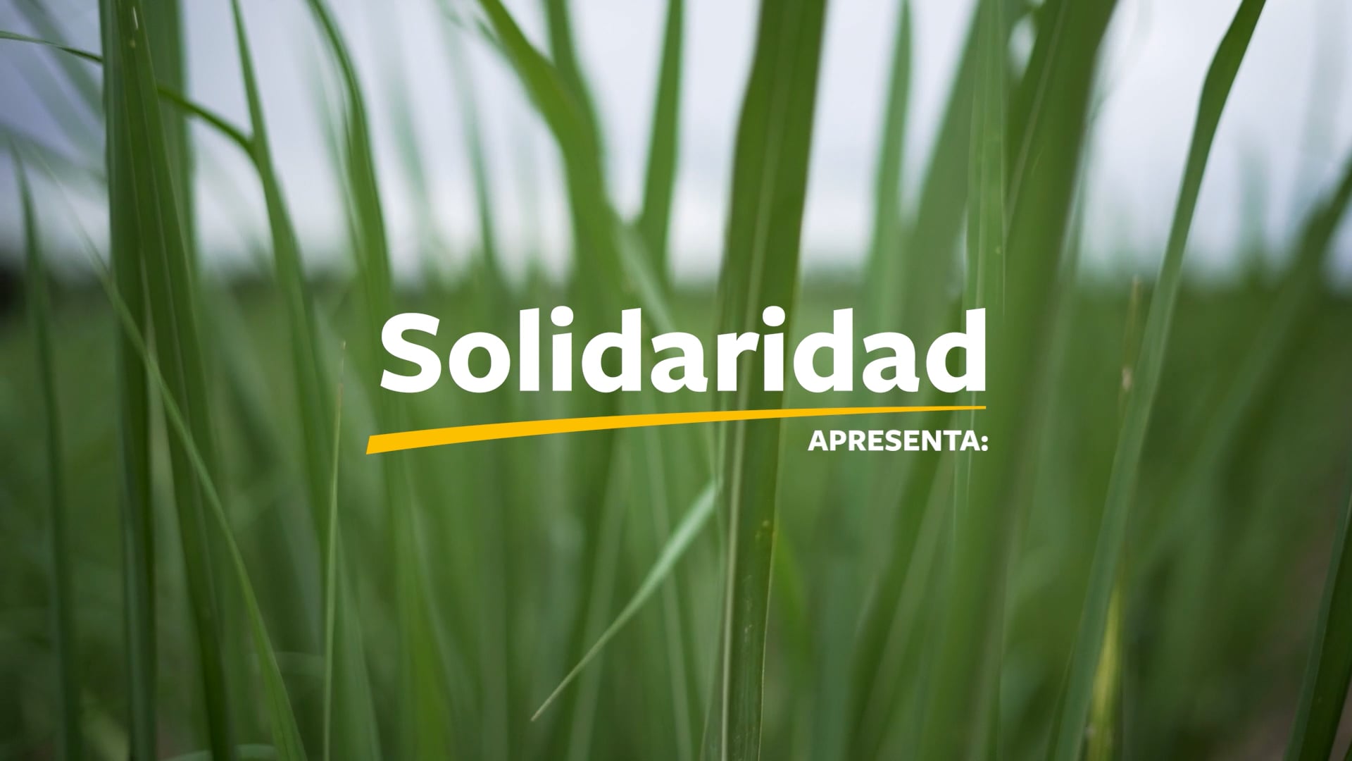 MUDA CANA: A força da transformação