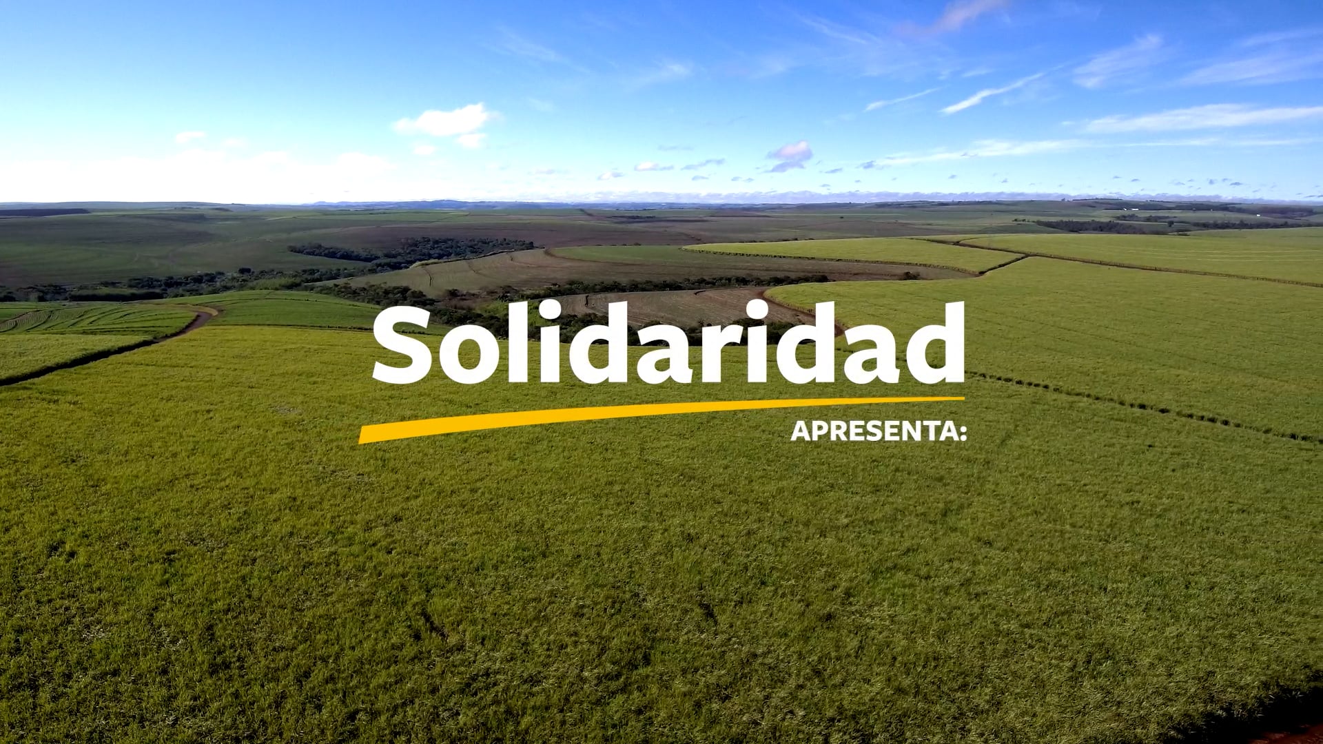 SOLIDARIDAD e a cadeia de cana no Brasil