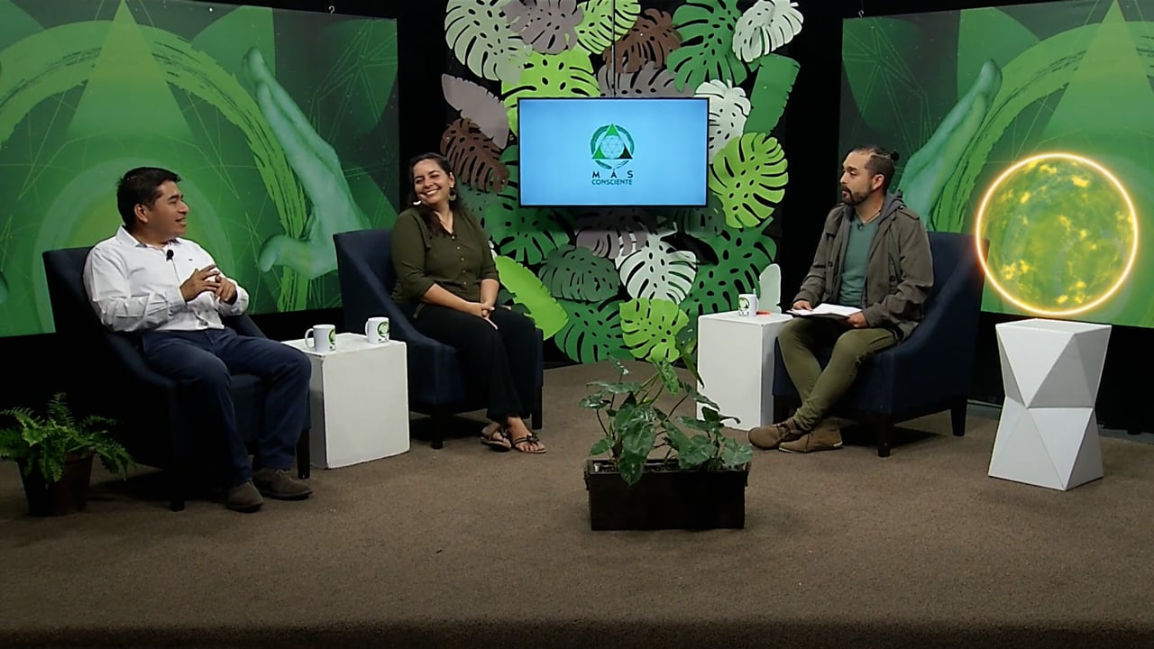 Vegetación y Ciudad P1