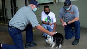 Fire House to Your House - Animals Scanned for Microchips at any Waco Fire Station