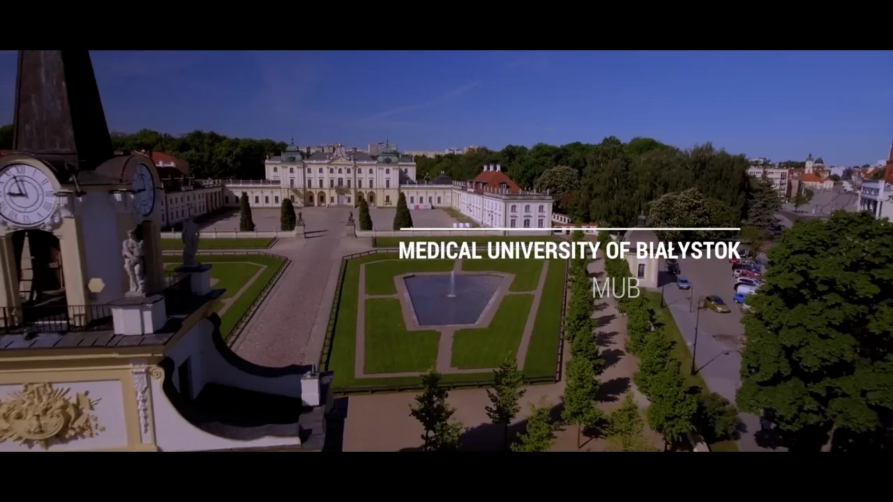 MUB Artificial Inteligence in Medicine