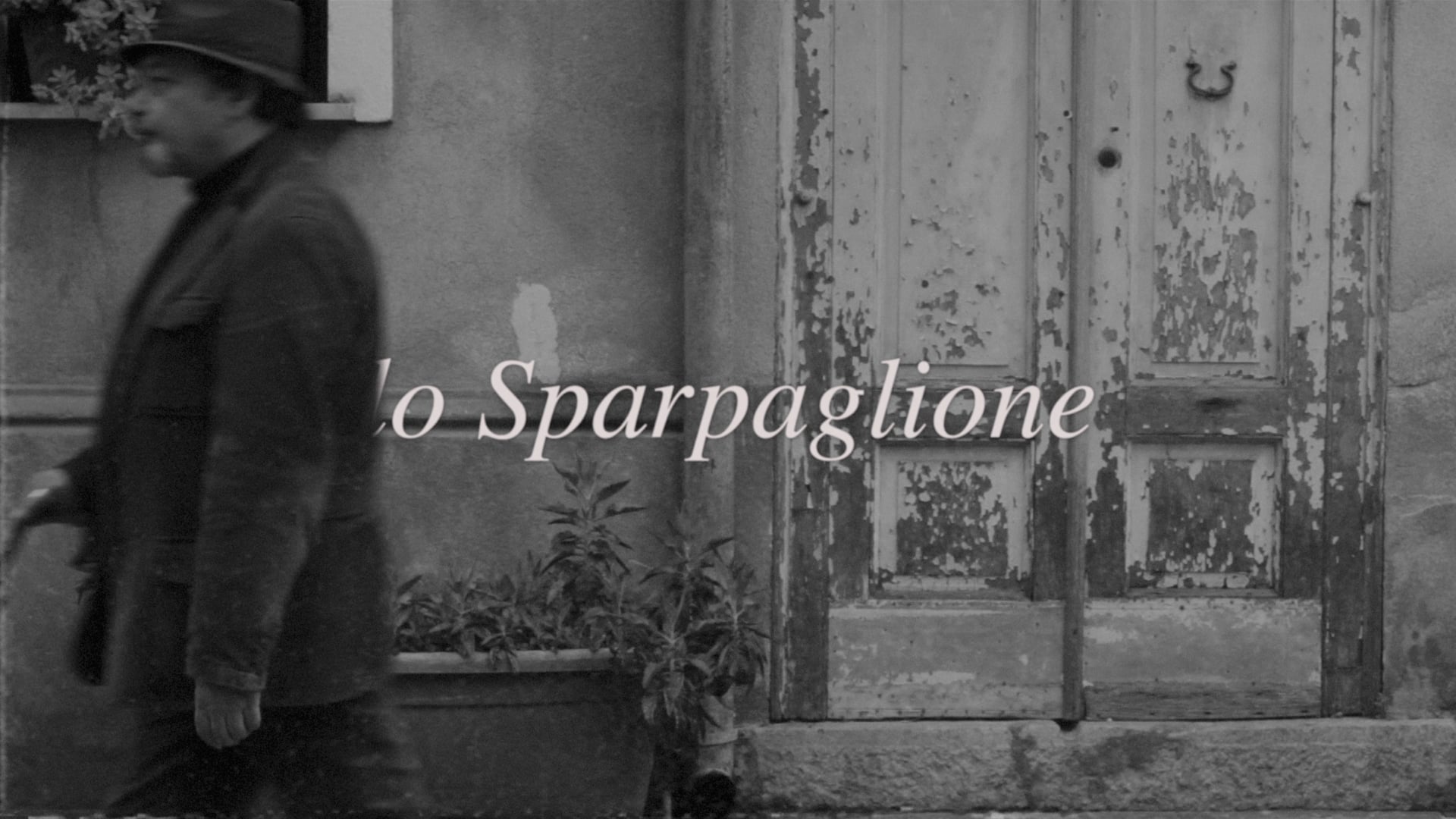 Lo Sparpaglione - Rossella Cosentino Music Video