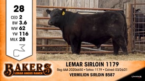 Lot #28 - LEMAR SIRLOIN 1179
