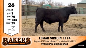 Lot #26 - LEMAR SIRLOIN 1114