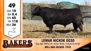 Lot #49 - LEMAR HICKOK 0030