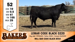 Lot #52 - LEMAR CODE BLACK 0220