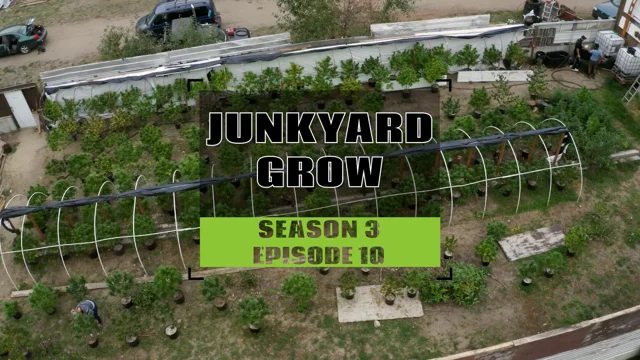 Another Episode 8  The View from the Junkyard