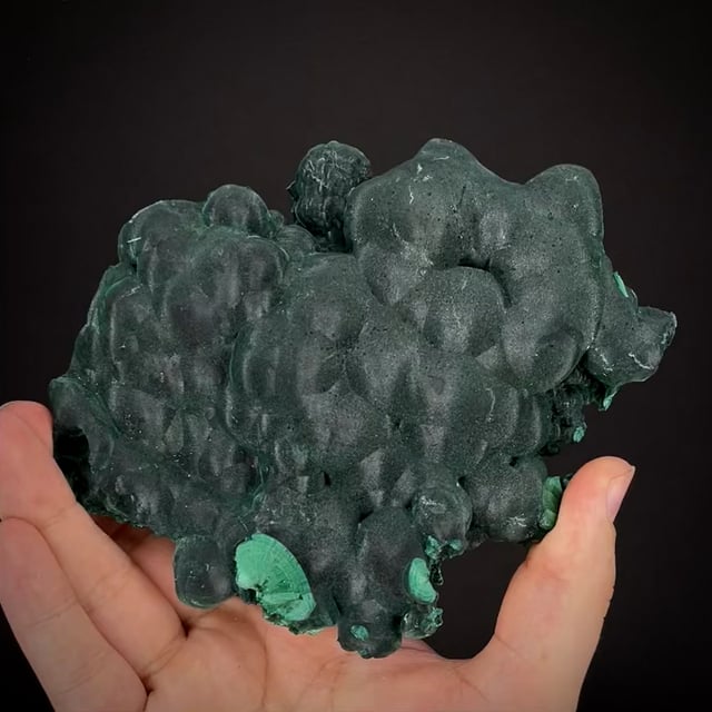 Botryoidal velvet Malachite