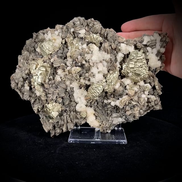 large Pyrite w/ Muscovite & Calcite (Kidwell Coll.)