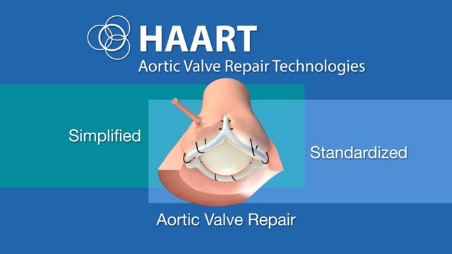 HAART Aortic Annuloplasty - Overview