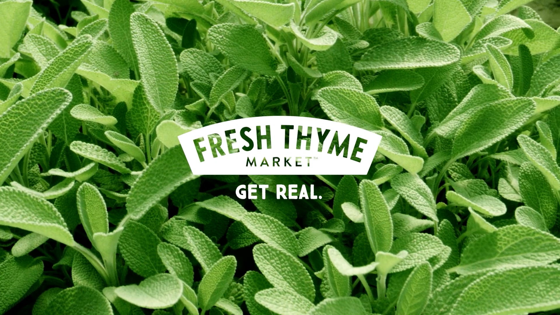 Fresh Thyme Herb Farm Spot on Vimeo
