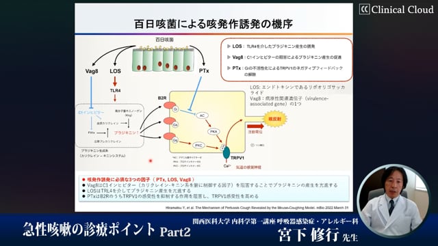 急性咳嗽の診療ポイント　Part2 