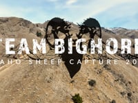 Team Bighorn Film